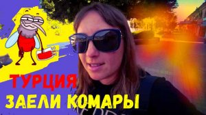 ОТДЫХ В ТУРЦИИ\НОВОЕ УТРО\ПЛЯЖ\ПОШЛА ЗА ФУМИГАТОРОМ\ЗАЕЛИ КОМАРЫ