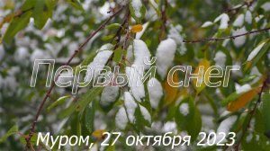 Первый снег, Муром, 27 октября 2023, First snow, Murom, October 27, 2023