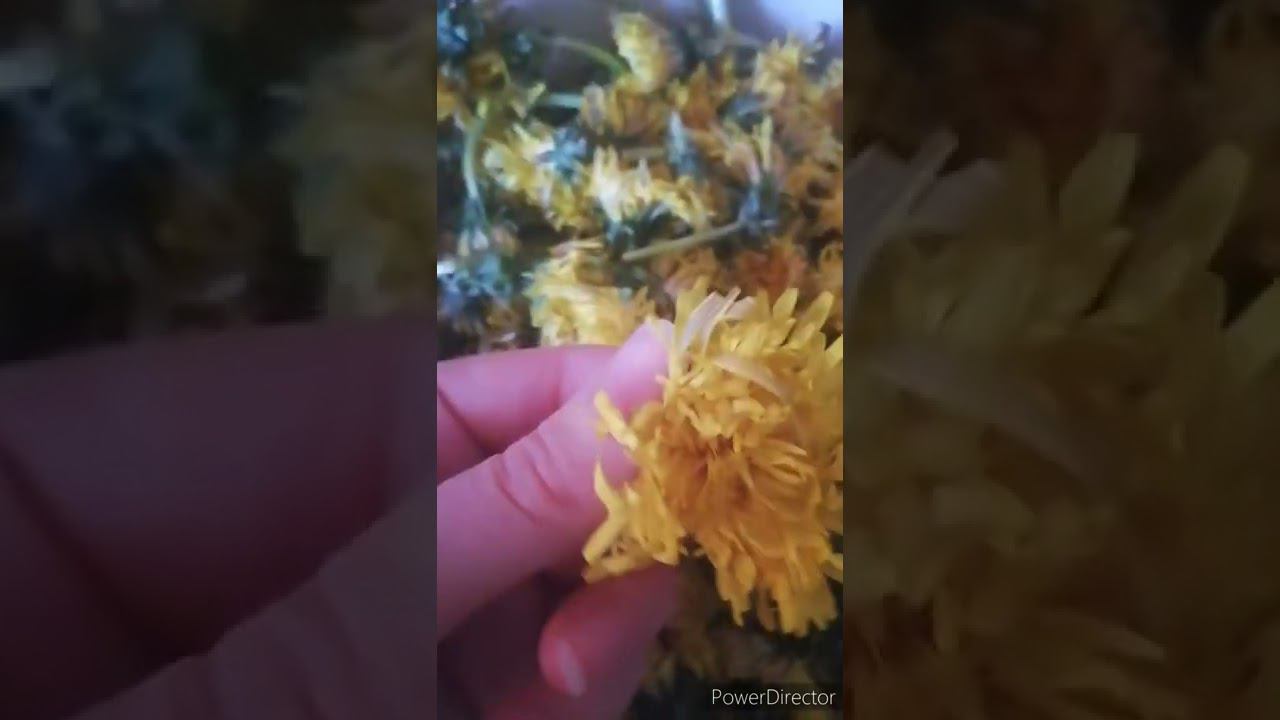 18 мая 2022 г. смотреть онлайн