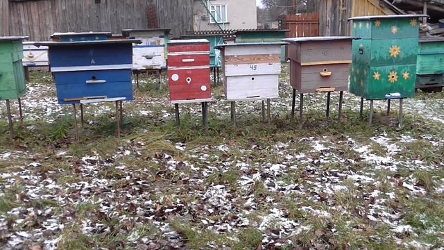 ПРИСТРЕЛОЧНЫЙ УЛЕЙ!!! Начинающему пчеловоду нужен как воздух. смотреть онлайн