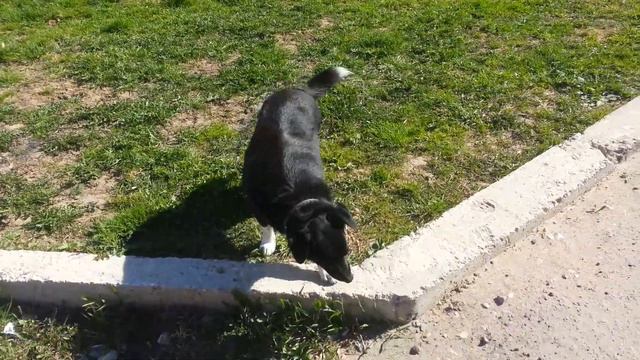 Ермолино май 2017 смотреть онлайн