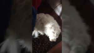 Testing Sony Lbt-n550, not bad