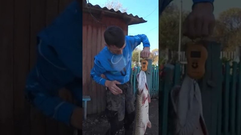 Что ты там поймал???