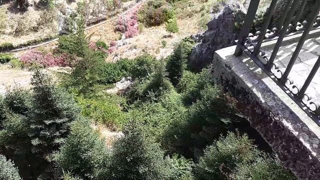 Пинсапо - пихта испанская смотреть онлайн