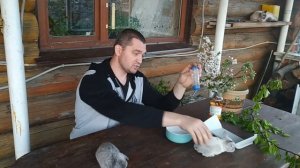 Чем кормить маленького декоративного кролика и чем кормить нельзя