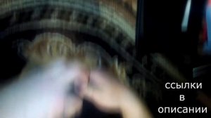 Регистратор Oncam t810 c алиэкспресс