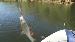 Отдых. Рыбалка. Путешествия. Лето 2022(mix).