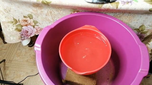 ☝?КАК И ЗАЧЕМ БУФЕРИЗИРОВАТЬ КОКОСОВЫЙ СУБСТРАТ смотреть онлайн