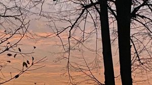 Стих: прости меня