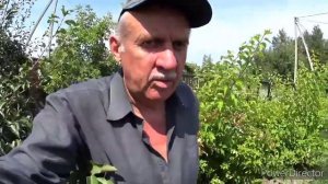 Электробритва Эра10, отличная вещь.Сделано в СССР. Исправляем ошибку.Помидорный сад.Vlog.Брест