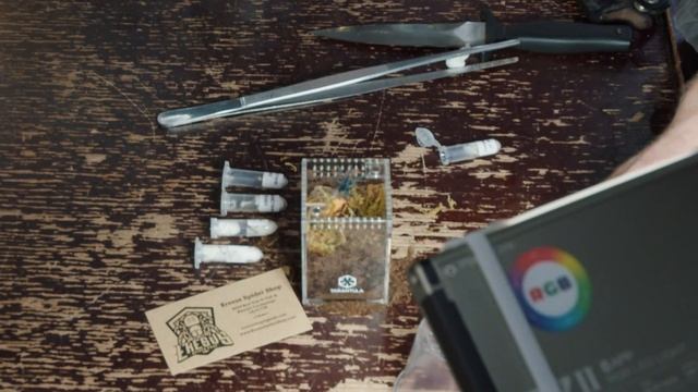 I GOT A VELVET SPIDER, Australian Huntsman & RARE Tarantulas! смотреть онлайн