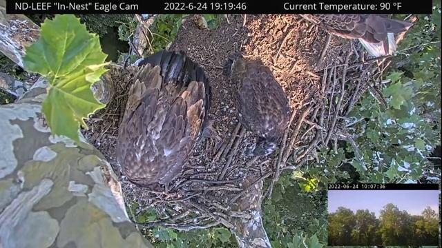 ND-LEEF | ND15 arrive and claim big fish from ND17 | June 24, 2022 смотреть онлайн