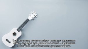 Приучение хорька к лотку