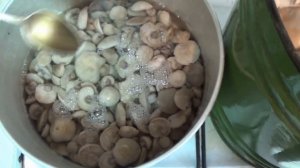 Как мариновать грибы  синюшки .