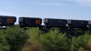 VID_20240727_090045.mp4.
2ТЭ25Км - 0??? с грузовым поездом.