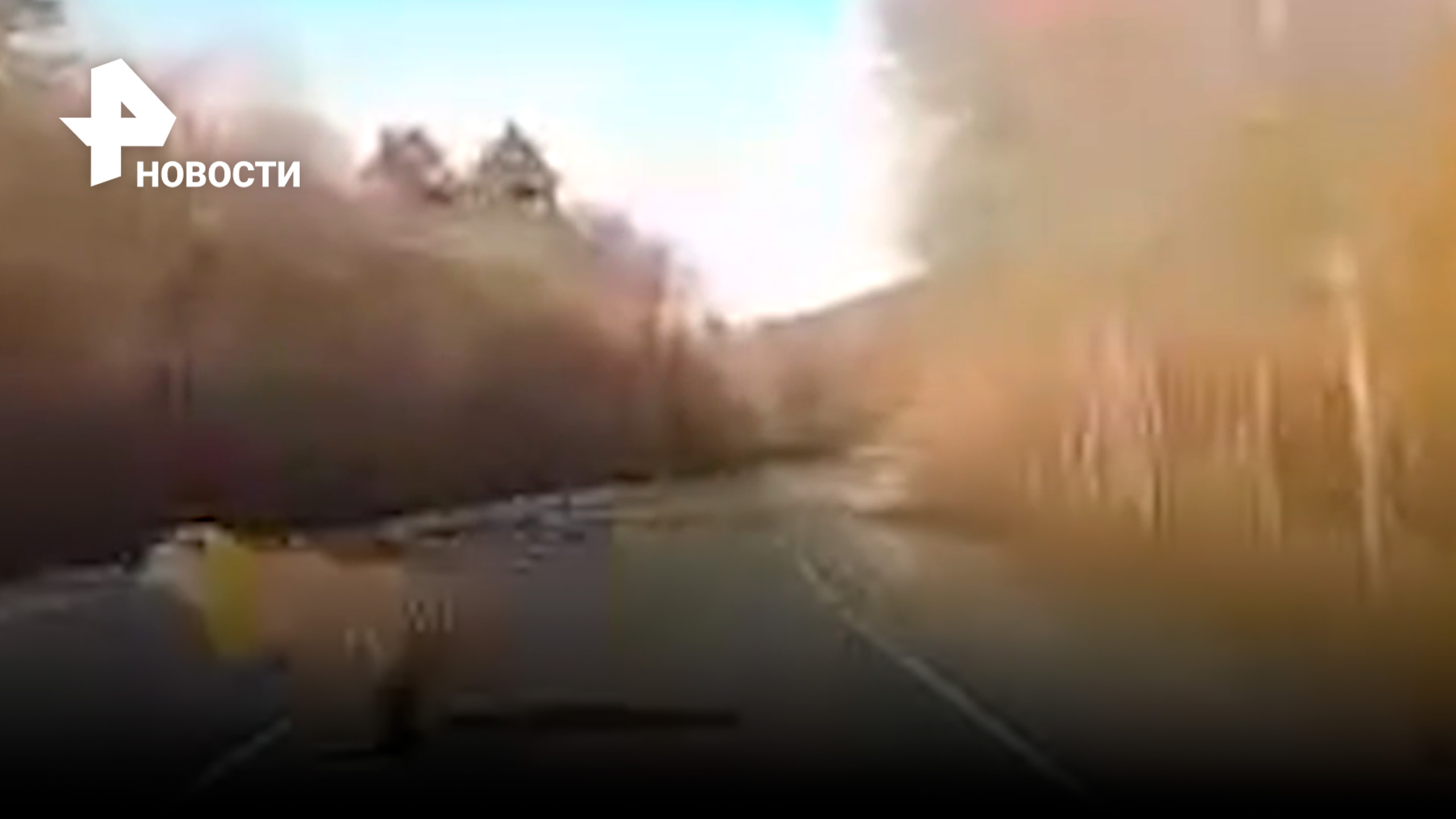 Тигр едва не набросился на автомобилистов / РЕН Новости