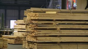 Лесопромышленники Советского района вышли на рекордные показатели производства