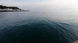 Рыбалка в Сочи с волнореза. Осеняя смарида и ласкирь