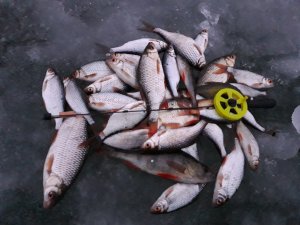 БЕЗМОТЫЛКА. КАК ПОЙМАТЬ РЫБУ. КАК ВЫБРАТЬ ПРАВИЛЬНЫЙ ЦВЕТ