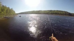 Трофейная сёмга - тест блесен/ Trophy salmon - spoon lures testing.