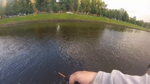 рыбалка Колпино река Ижора