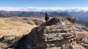 ЛУЧШАЯ ГОРНАЯ ПОРОДА-КАРАЧАЕВСКАЯ. Карачаевская порода лошадей