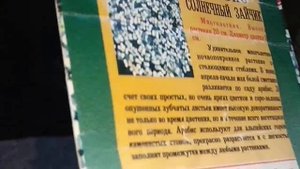 ЗМЕЕГОЛОВНИК ГОРЫНЫЧ, РОЗМАРИН НЕЖНОСТЬ, АРАБИС ИЗ СЕМЯН