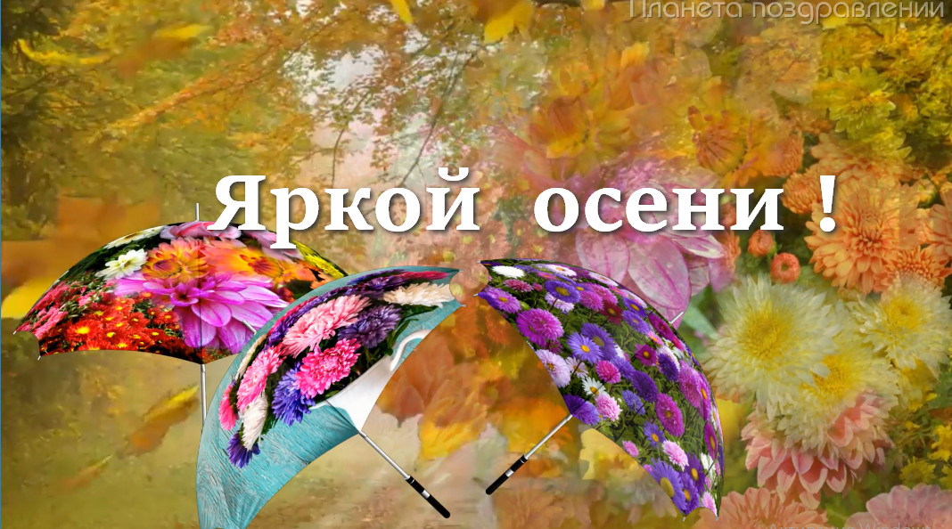 21 октября день. День разноцветных зонтов. День разноцветных зонтиков 21 октября. День разноцветных зонтиков 21 октября поздравления. День разноцветных зонтов 21 октября картинки.