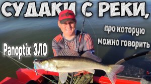 Судаки с реки, про которую можно говорить