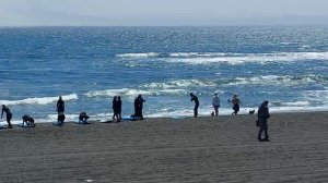 12 июня 2022 г. Тихий океан. Камчатка.