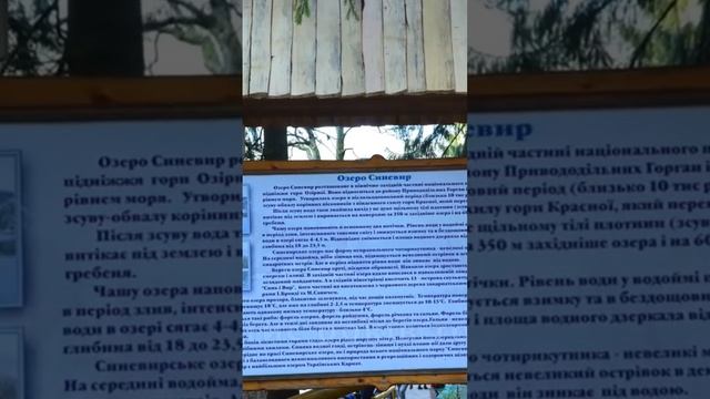 озеро Синевир в Карпатах, Україна: як утворилося озеро? #світзродзинкою #синевир #україна #карпати