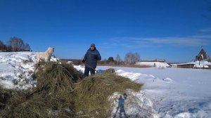 Деревню Окунево ограбили? С наступающим праздником!