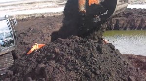 Погрузка Рязанского чернозема - чернозем-везу.рф