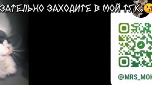 ☆°•— Реакция ПР на Лололошку.—•°☆ ~3/?~
