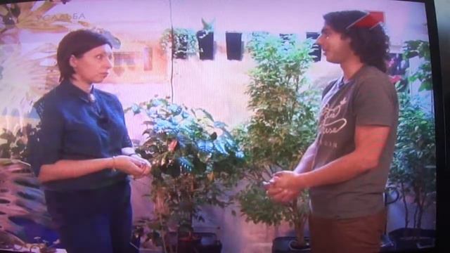 Досвечивание  растений http://vermitechnologii.ru/ 15.03.2015 1 смотреть онлайн