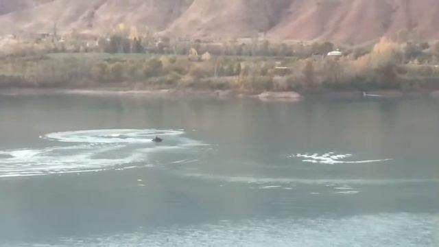 Таджикистан | Охота на уток на гидроцикле | Бойпазинский водохранилище | Осень | Умные утки смотреть онлайн