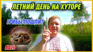 DIY. Летние деньки на хуторе. Незванные гости. Поход за грибами. #хочувдеревню #хутор #diy