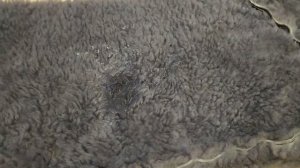 Опасность пероксида. Почему нельзя отправлять перекись почтой.