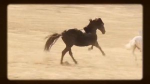 Восточный ветер 3