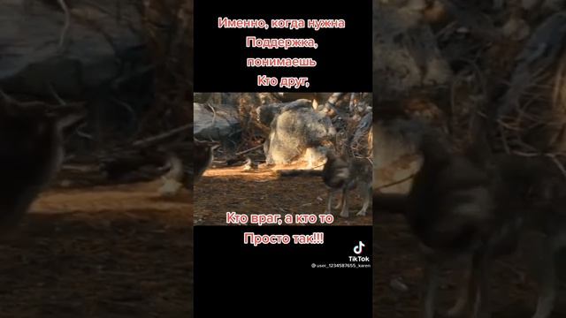 Кто друг, кто враг, а кто-то просто так