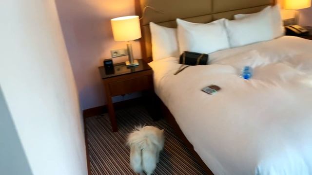 О личном, город гномиков, польские мужчины и женщины, покупки косметики ♥ Lucky Lina смотреть онлайн