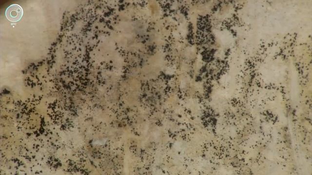 Сверху льёт, а снизу топит. Жилой дом на улице Мира пережил сразу несколько коммунальных аварий смотреть онлайн