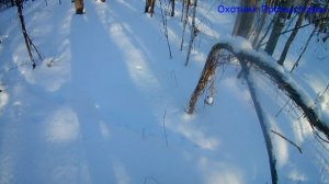 Установка петель на зайца