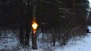 Разрывные пульки для пневматики) в действии