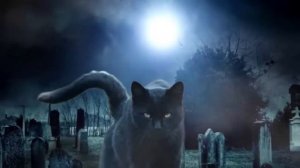 "ВЕДЬМИНА ПАДЬ"  18 серия (автор Светлана Гончаренко). Мистика. Истории на ночь.