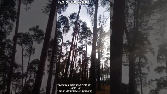 Стих. Анастасия Кульвец "Человек позабыл, что он ЧЕЛОВЕК". Дебют.