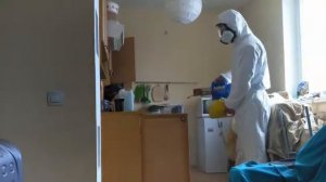 Уничтожение, Обработка,  Дезинфекция клопов, тараканов, клещей Горячим паром