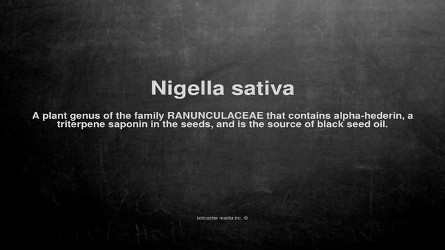 Medical vocabulary: What does Nigella sativa mean смотреть онлайн