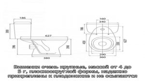 Самая сладкая и крупная вишня Чернокорка — описание сорта и преимущества
