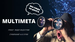 MULTIMETA - Инвест проект, который взял в работу